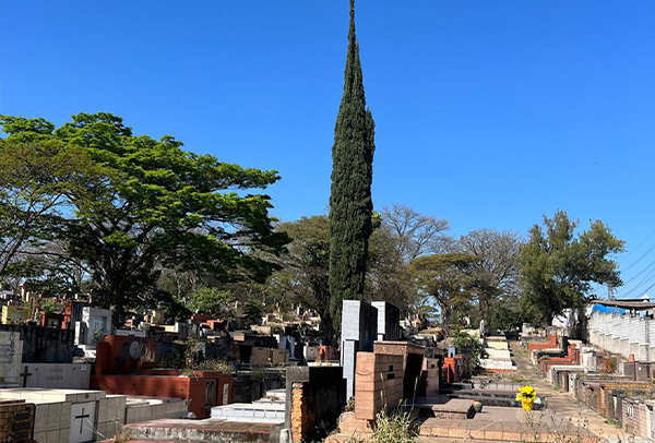 cemiterio-lapa-são-paulo